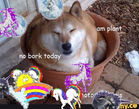 The best lovely super cute best friend