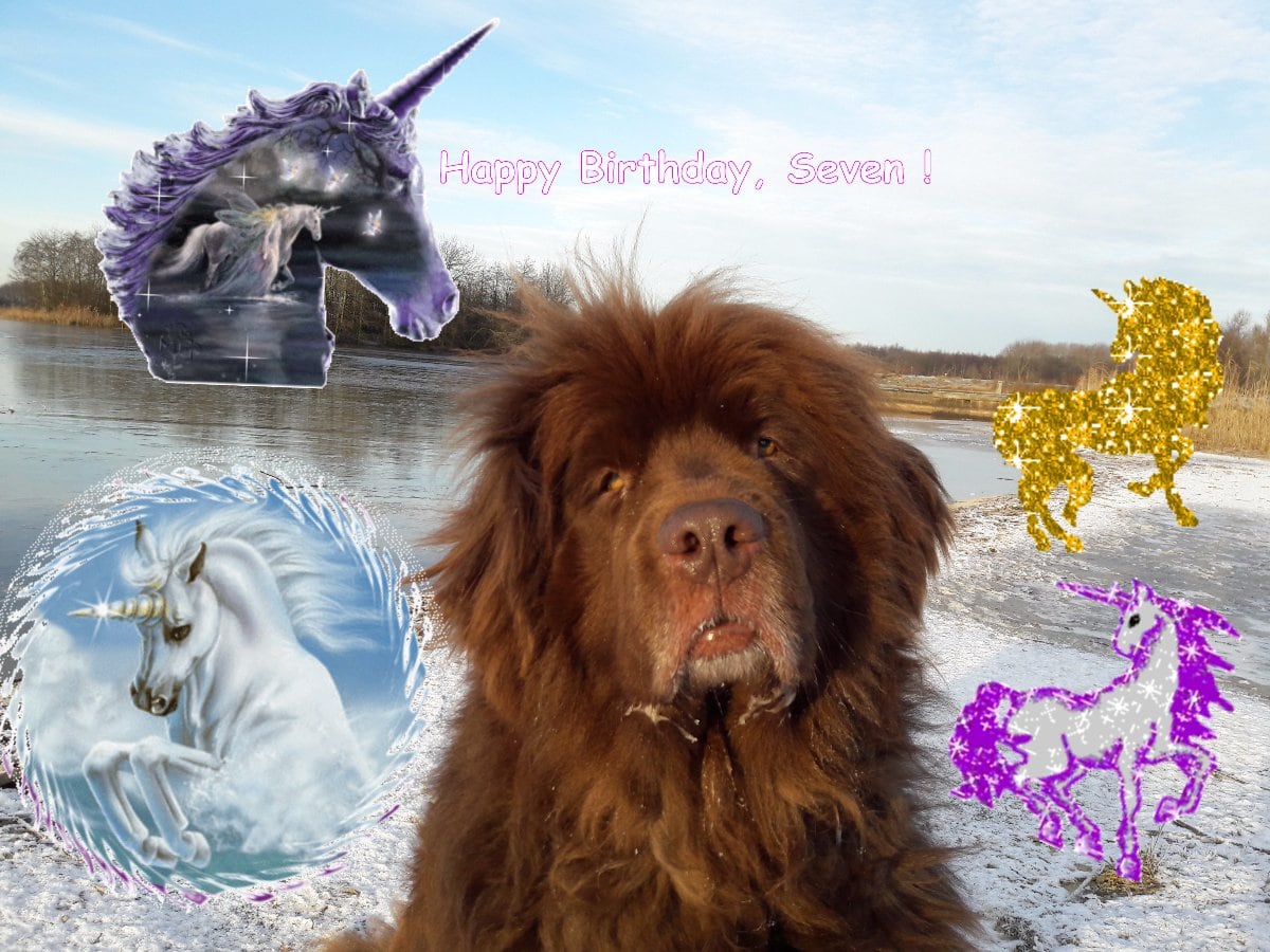 The most fun amazing fun pink hug