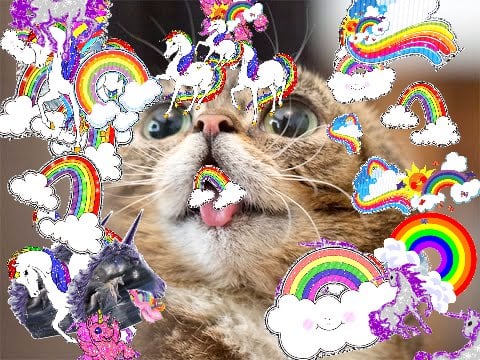 Super sunny cute cute pink picture