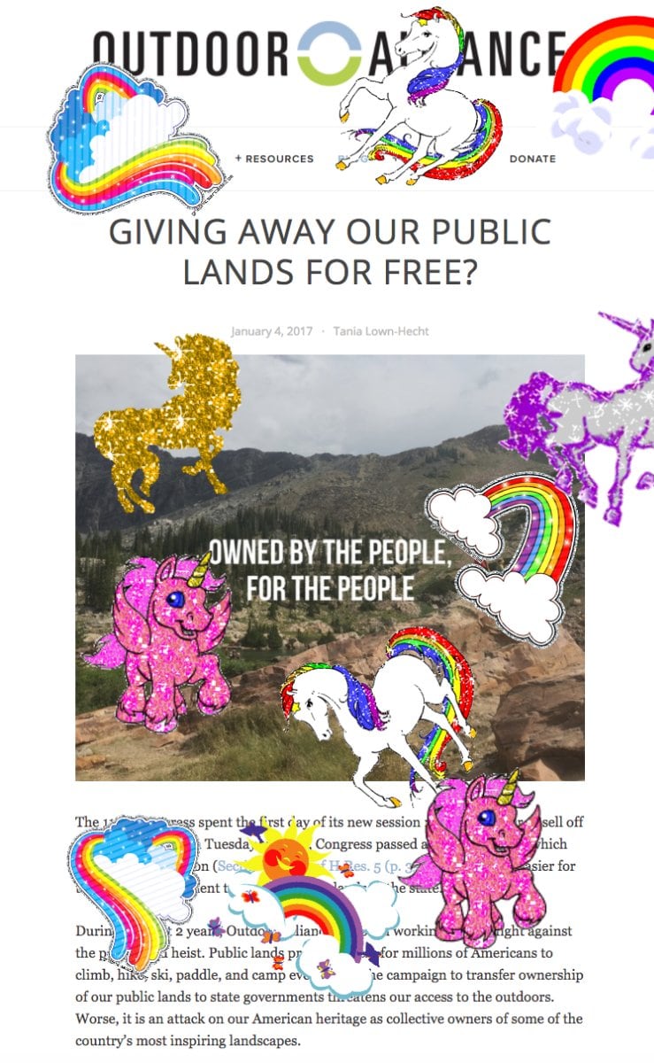 The amazing pink merry merry photo