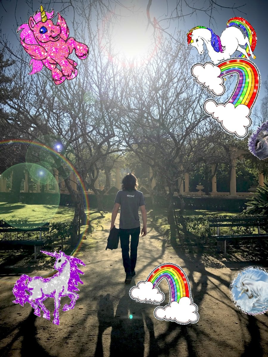 The most glad cute sunny great unicorn