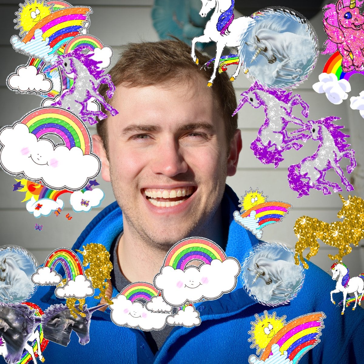 The great amazing pink cute unicorn