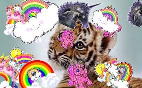 The best awesome great lovely happy happiness