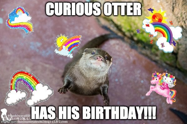 A cool jolly divine joyful photo