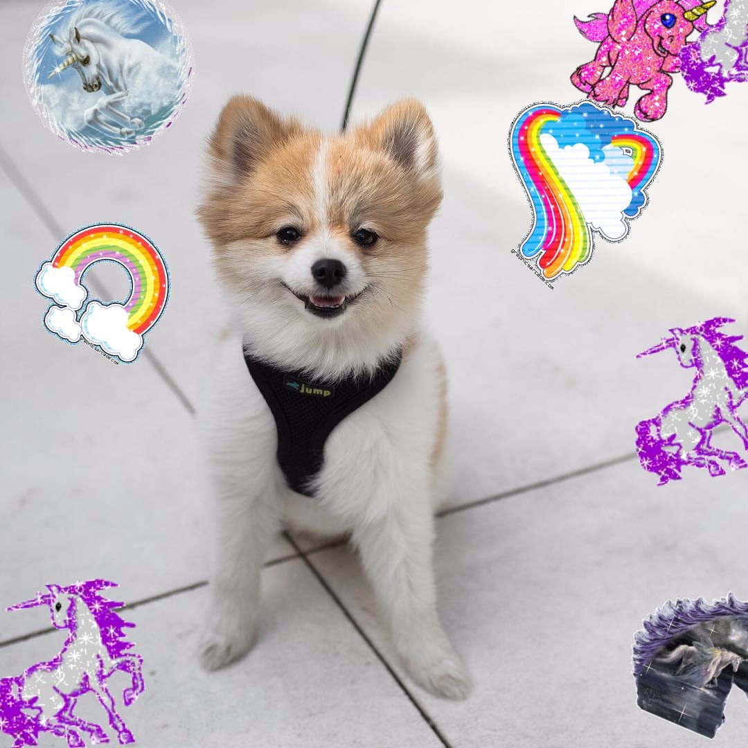 Super fun divine merry lovely composition