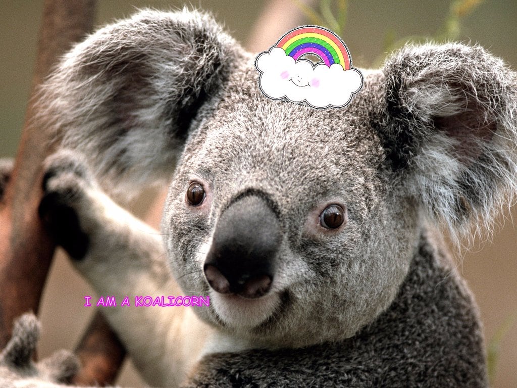 A sunny merry pink pink sparkle