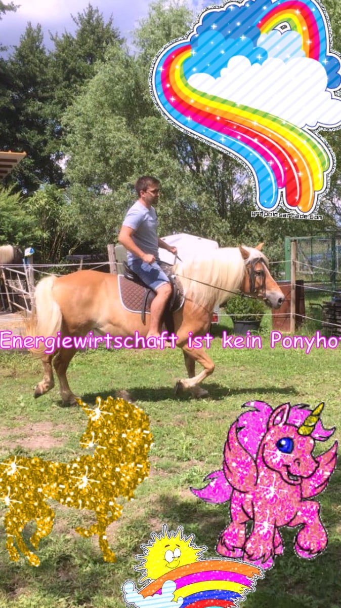 The best lovely sunny awesome glad image