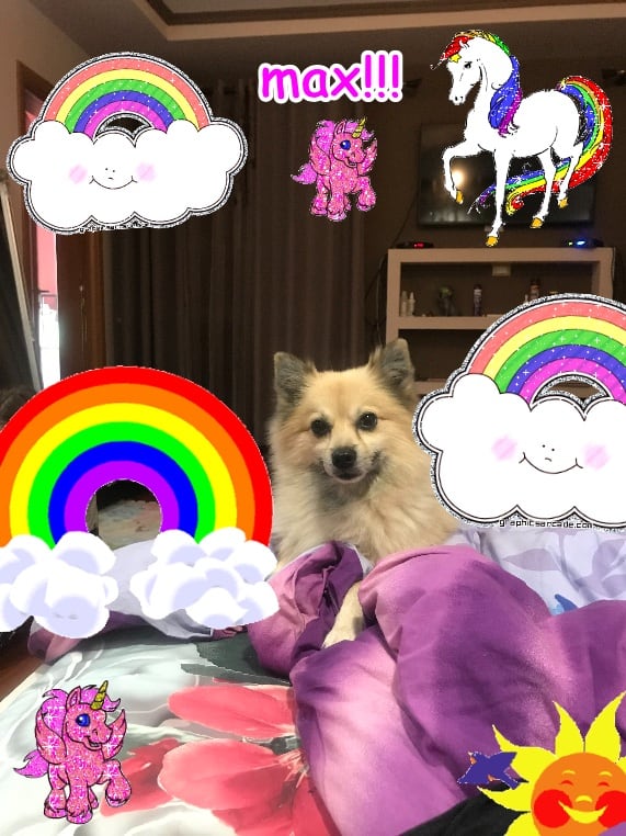 The most best cool divine lovely rainbow