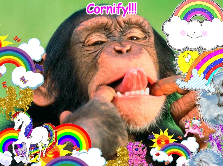 A sunny divine awesome best image