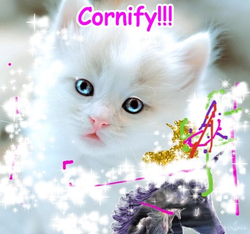 The super divine divine pink rainbow