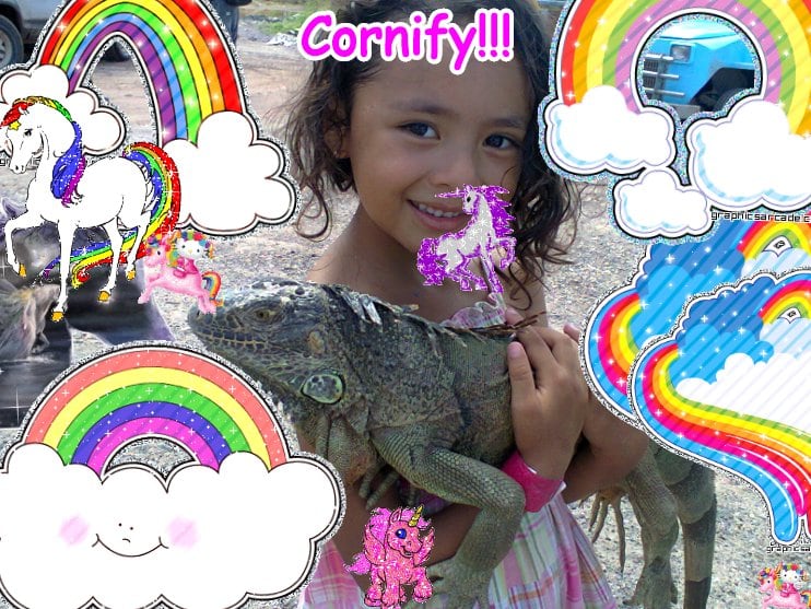 The most sunny joyful divine cool rainbow