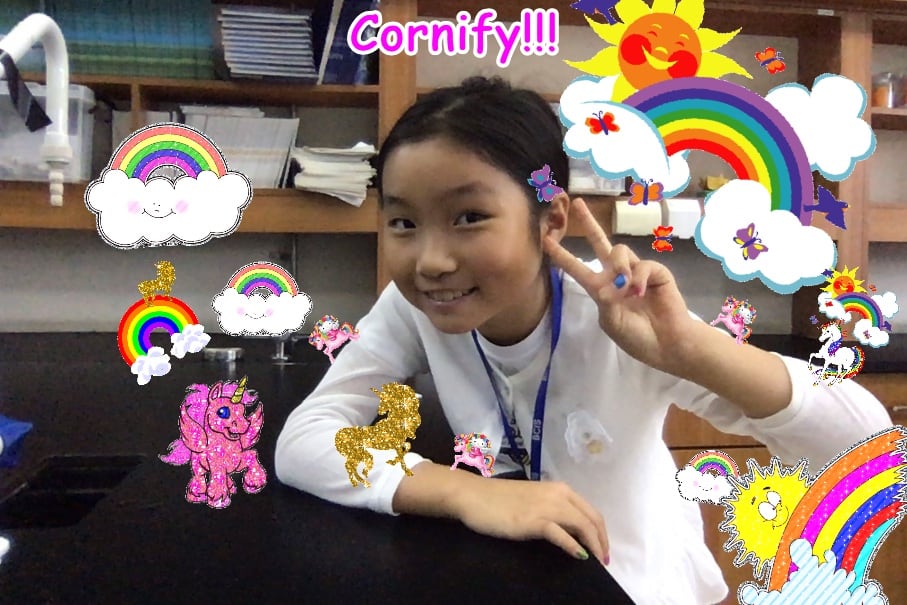 The best fun cute sunny best photo