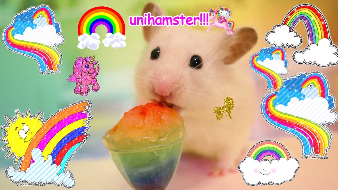 Super sunny lovely cute pink composition