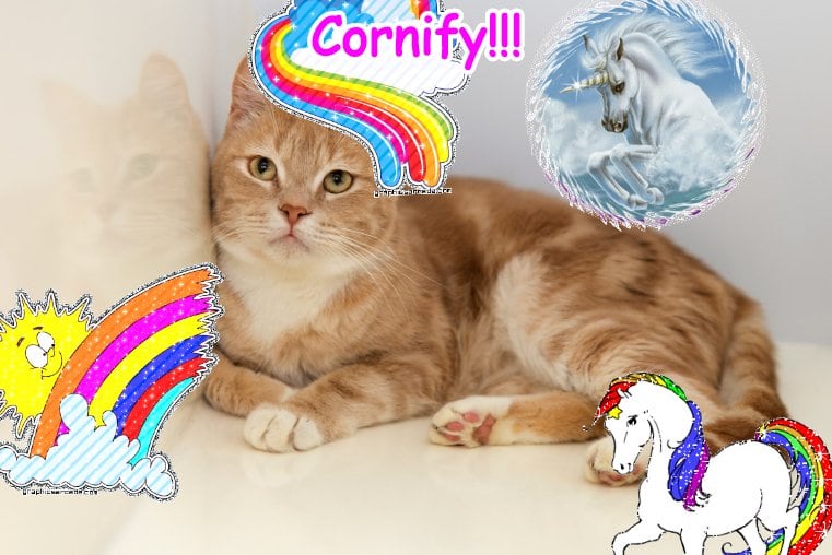 Mindblowingly joyful divine amazing jolly family