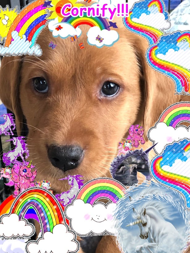 Crazy awesome happy merry cool image