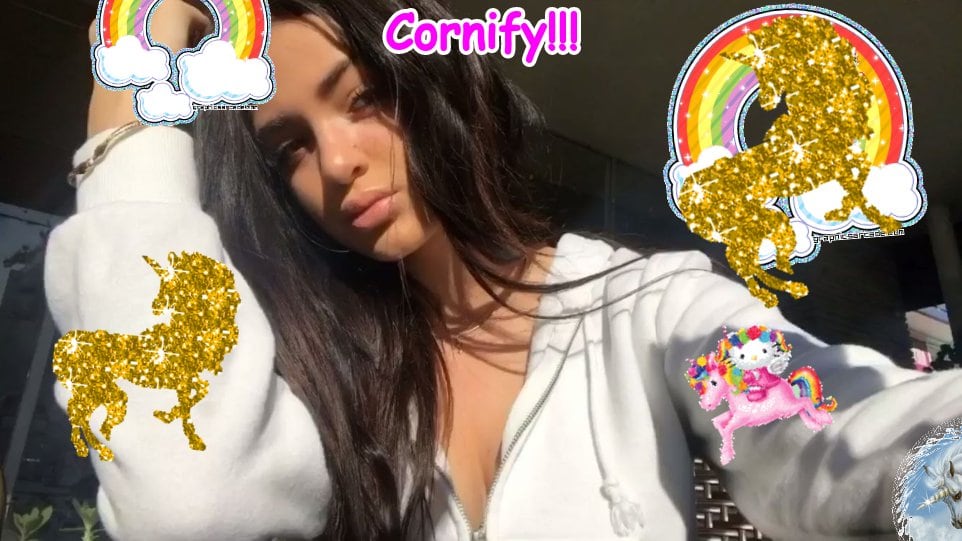 A happy happy divine glad fun