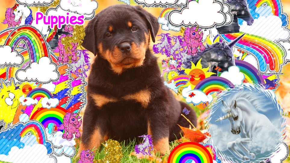 Mindblowingly great cute fun happy picture