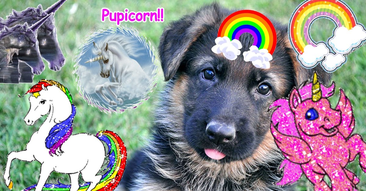 Super happy lovely fun jolly unicorn