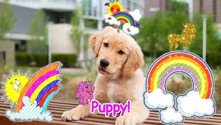 Super fun divine divine cool fun