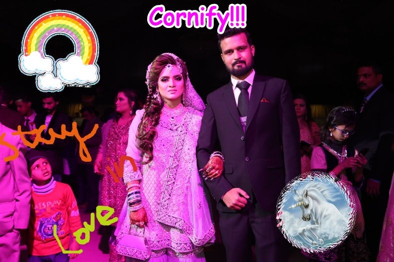 A merry fun fun sunny picture