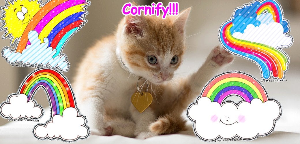 A cool glad glad great unicorn