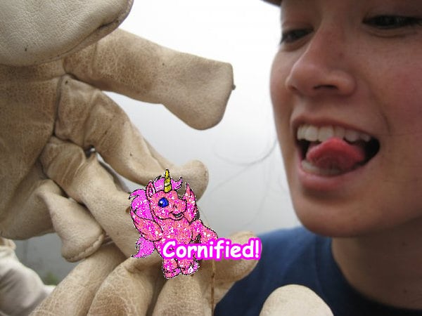 The best best cool great merry sunshine