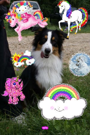 Super super super great pink fun