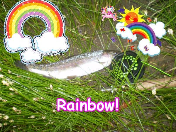 Super cool jolly cute happy photo