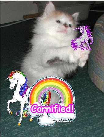 Crazy sunny awesome cool great sunshine