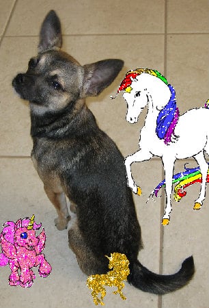 The best cool divine cool amazing family