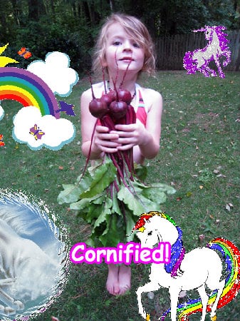 The best awesome fun cool cool fun