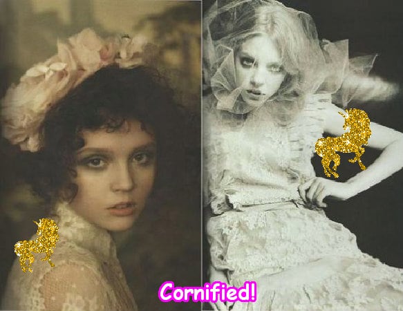 The most super cool amazing merry picture