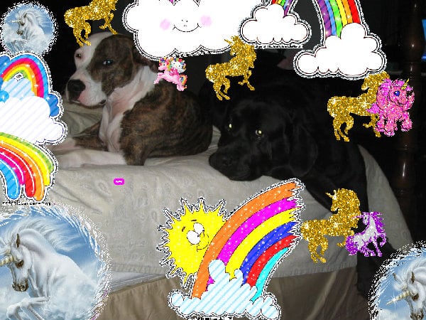 Mindblowingly joyful cool great best fun