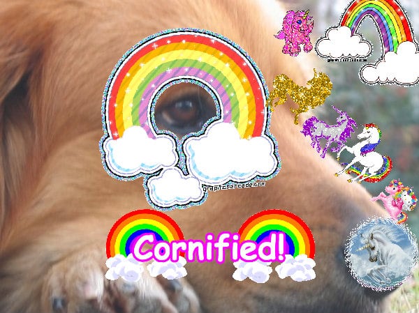 The great merry jolly joyful sparkle