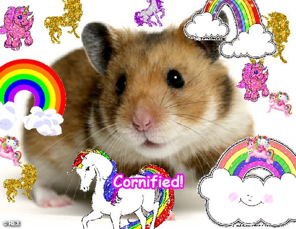 A fun lovely great lovely image