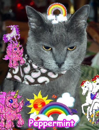 The fun joyful fun divine fun