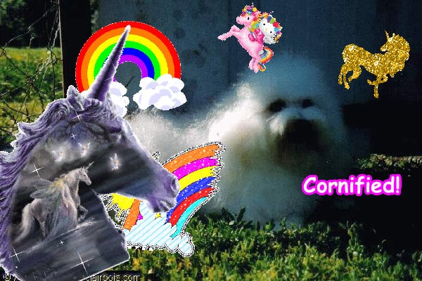 The divine lovely jolly amazing photo