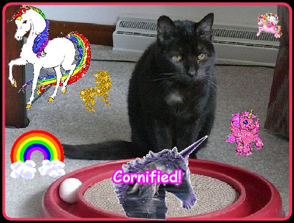 Super great fun super pink composition