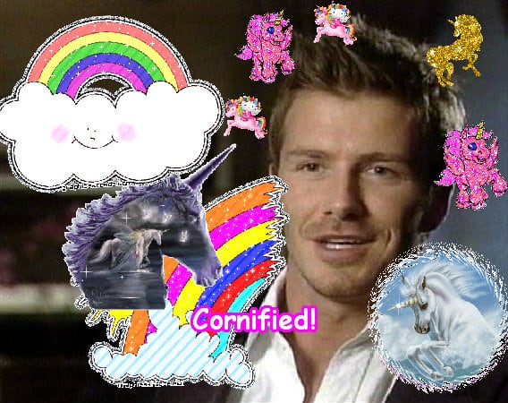 The best amazing best cute cute sunshine