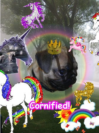 The most fun best cool jolly fun