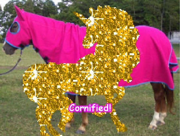 The cool best fun happy sparkle