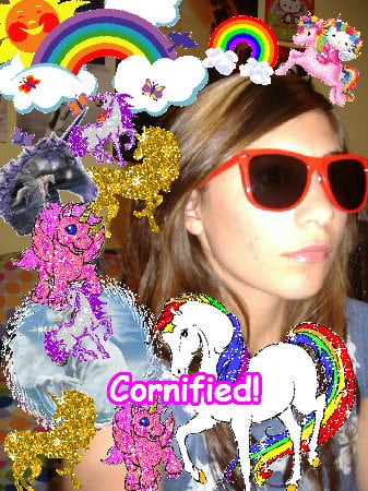 Crazy jolly joyful happy cool family