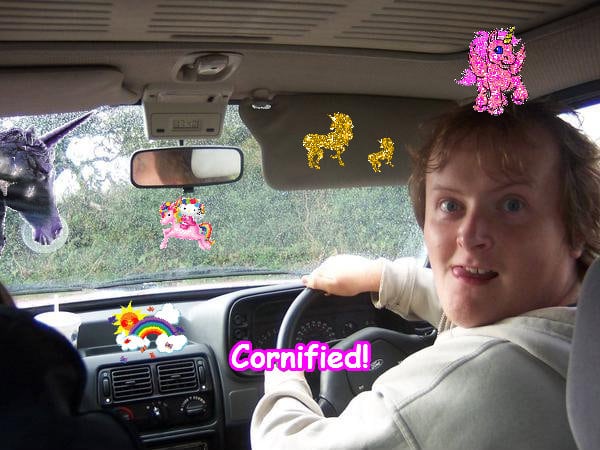 The most sunny awesome cool glad sparkle