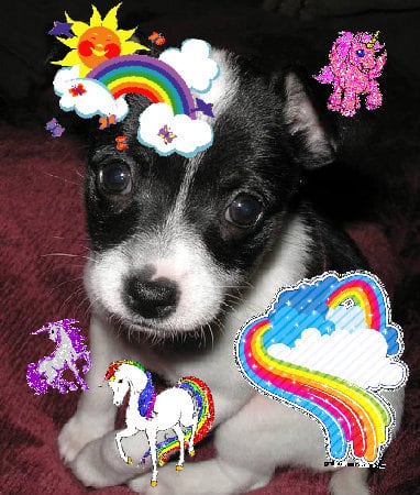 The most happy super super amazing composition