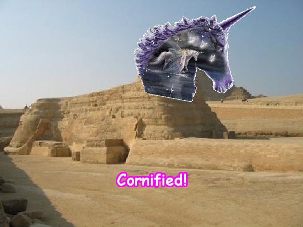 Mindblowingly lovely divine cute sunny picture