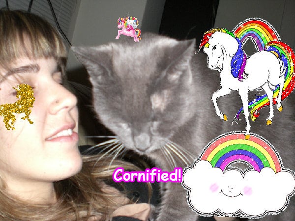 Super glad lovely divine cute composition