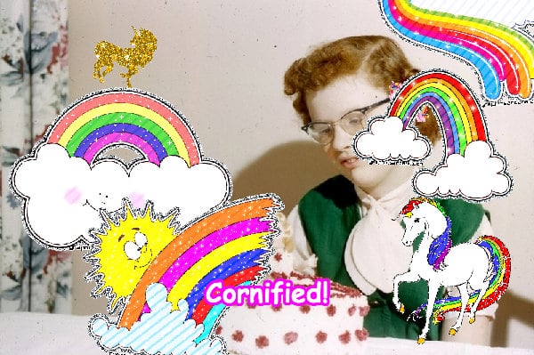 The most sunny pink divine cute fun