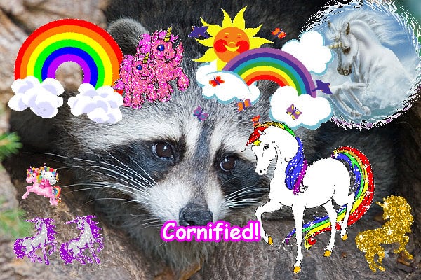 Crazy super amazing merry awesome composition