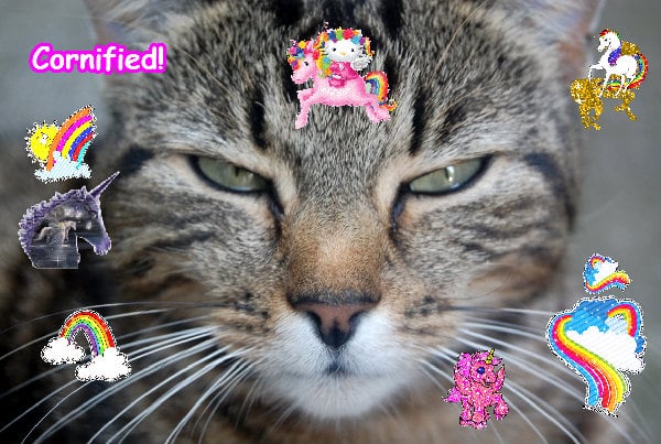 Mindblowingly fun awesome pink fun unicorn