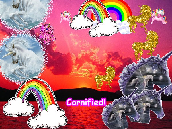 The best best cool cool jolly fun